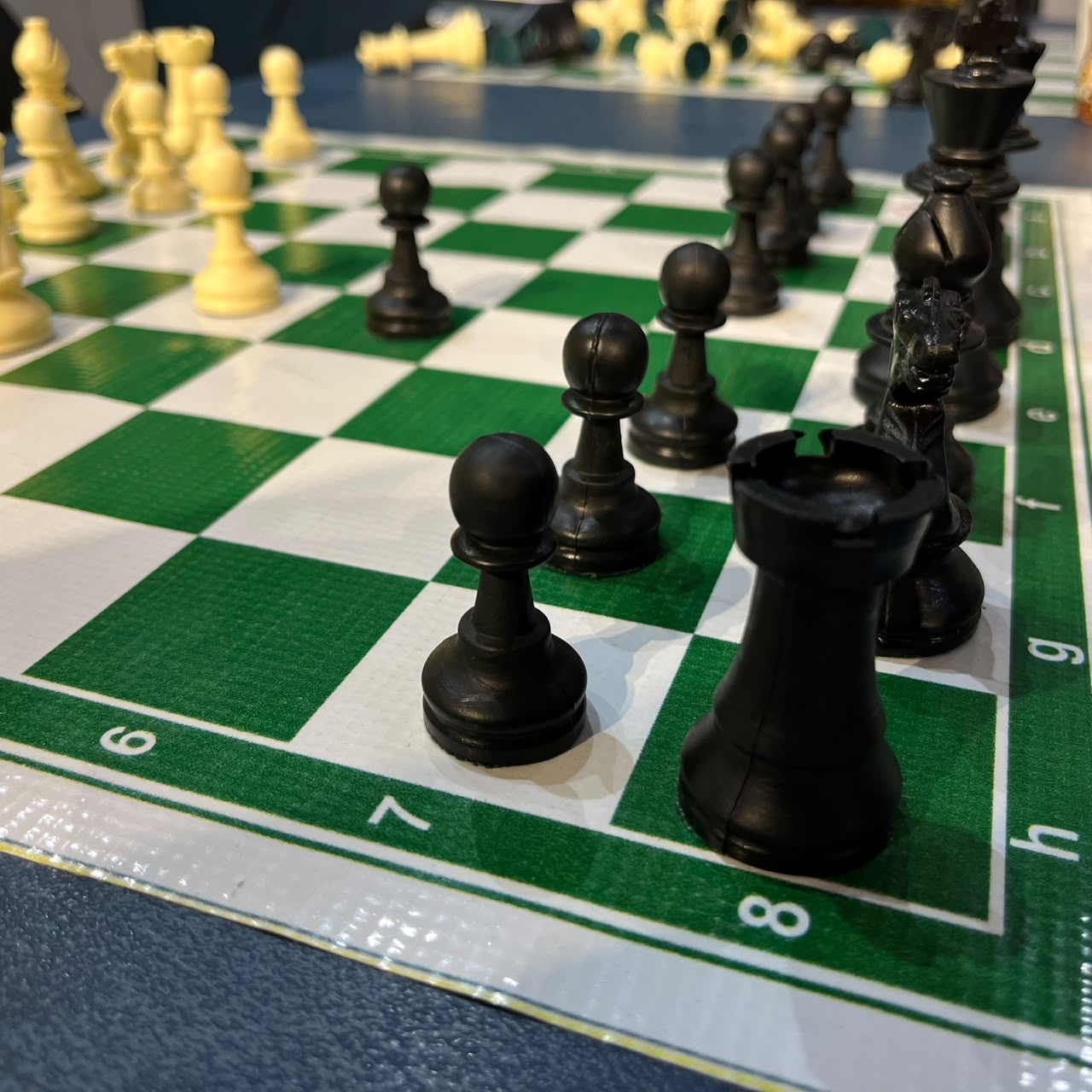 Tournament Standard Weighted Chess Pieces