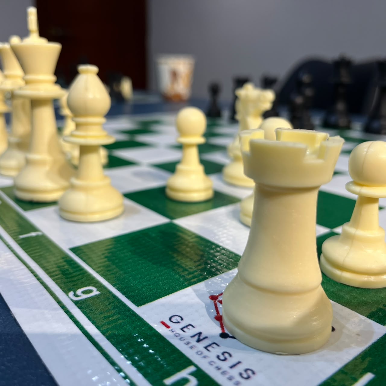 Tournament Standard Weighted Chess Pieces